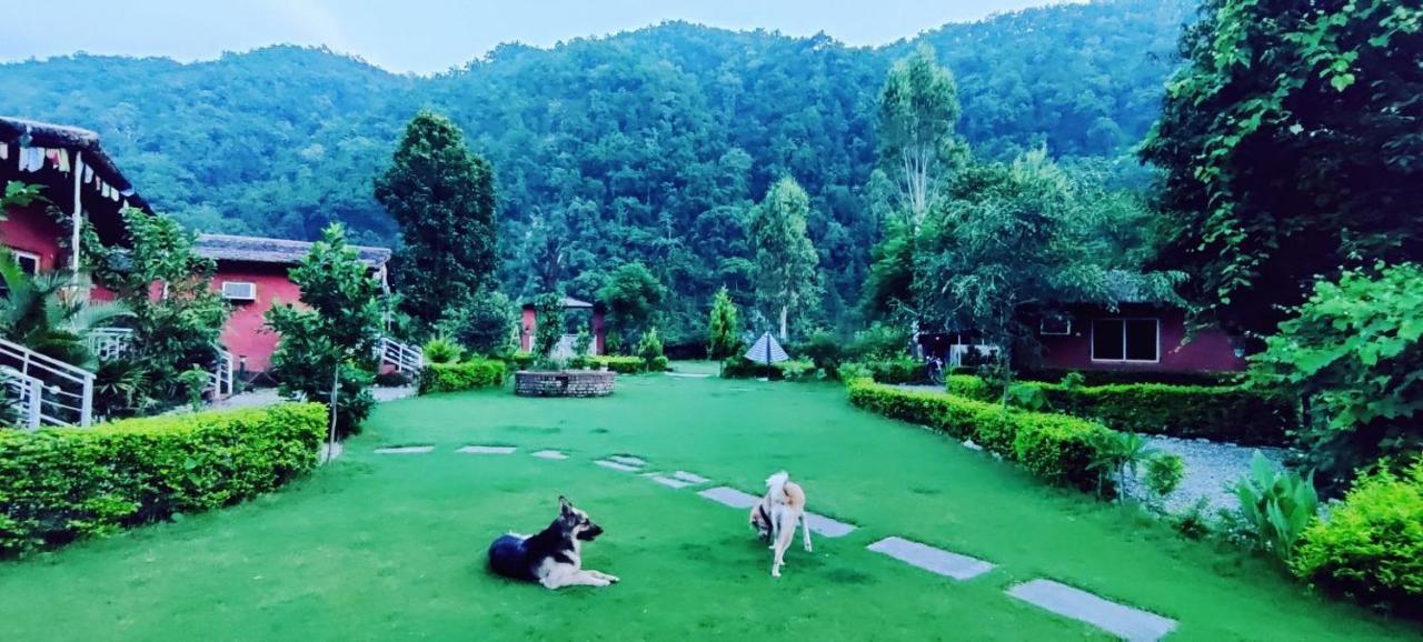 Вілла Maatre Yoga Retreat Marchula Екстер'єр фото