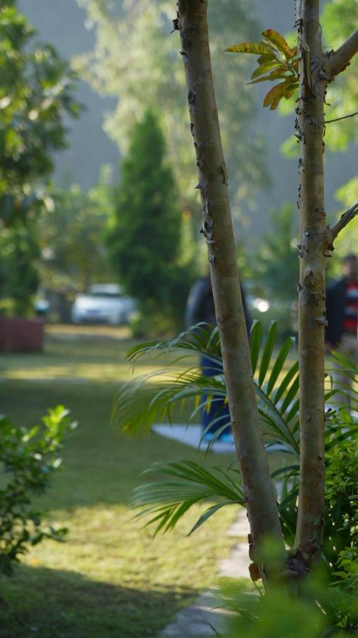 Вілла Maatre Yoga Retreat Marchula Екстер'єр фото